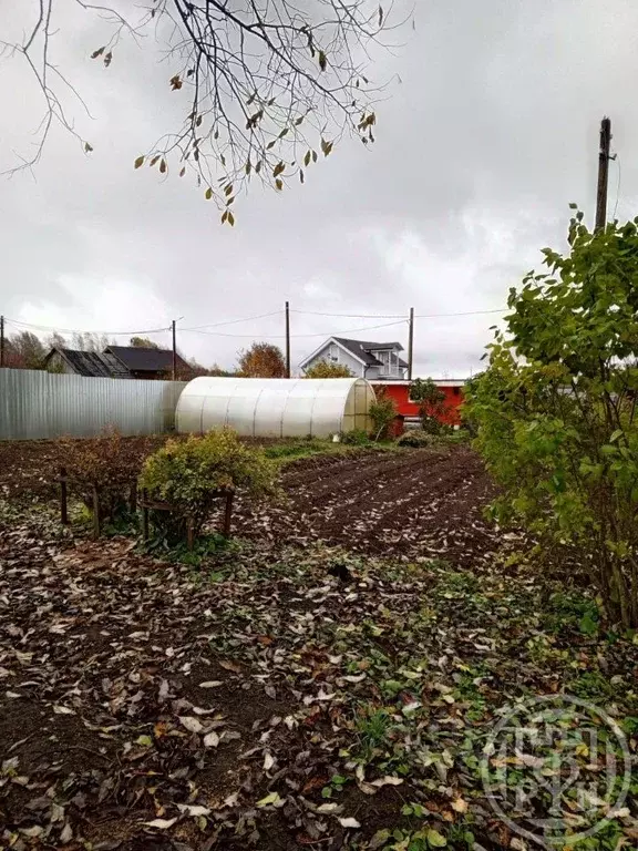 Участок в Ленинградская область, Выборгский район, Первомайское с/пос, ... - Фото 2