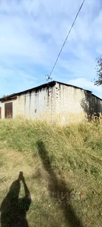 Гараж в Брянская область, Жуковка ул. Некрасова (27 м) - Фото 2