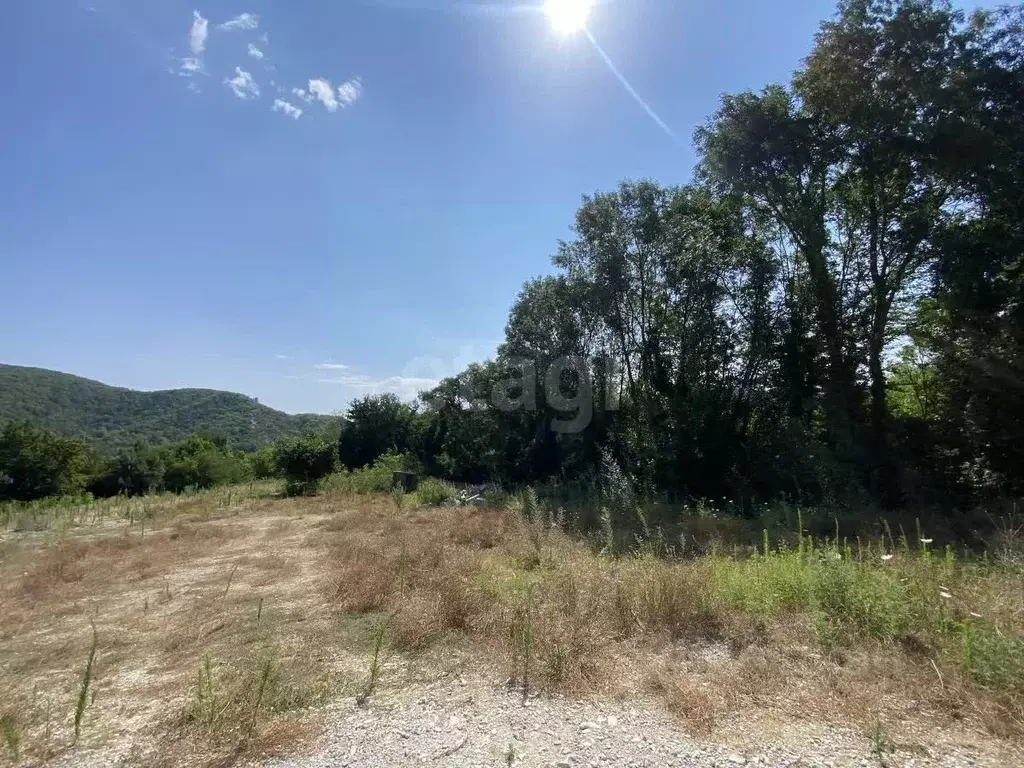 Участок в Краснодарский край, Геленджик городской округ, с. ... - Фото 2