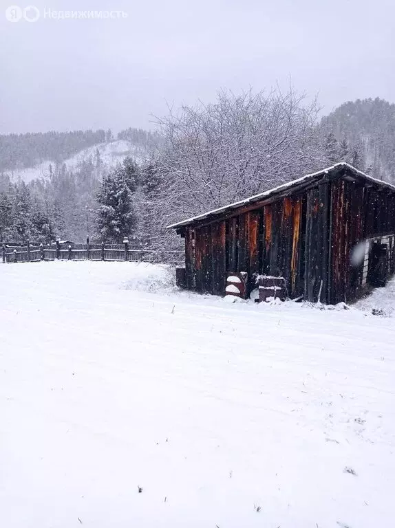 Участок в Большой Луг, Спортивная улица (8 м) - Фото 2