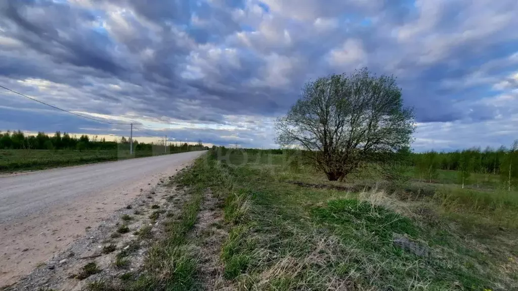 Участок в Новгородская область, Новгородский район, Ракомское с/пос, ... - Фото 1