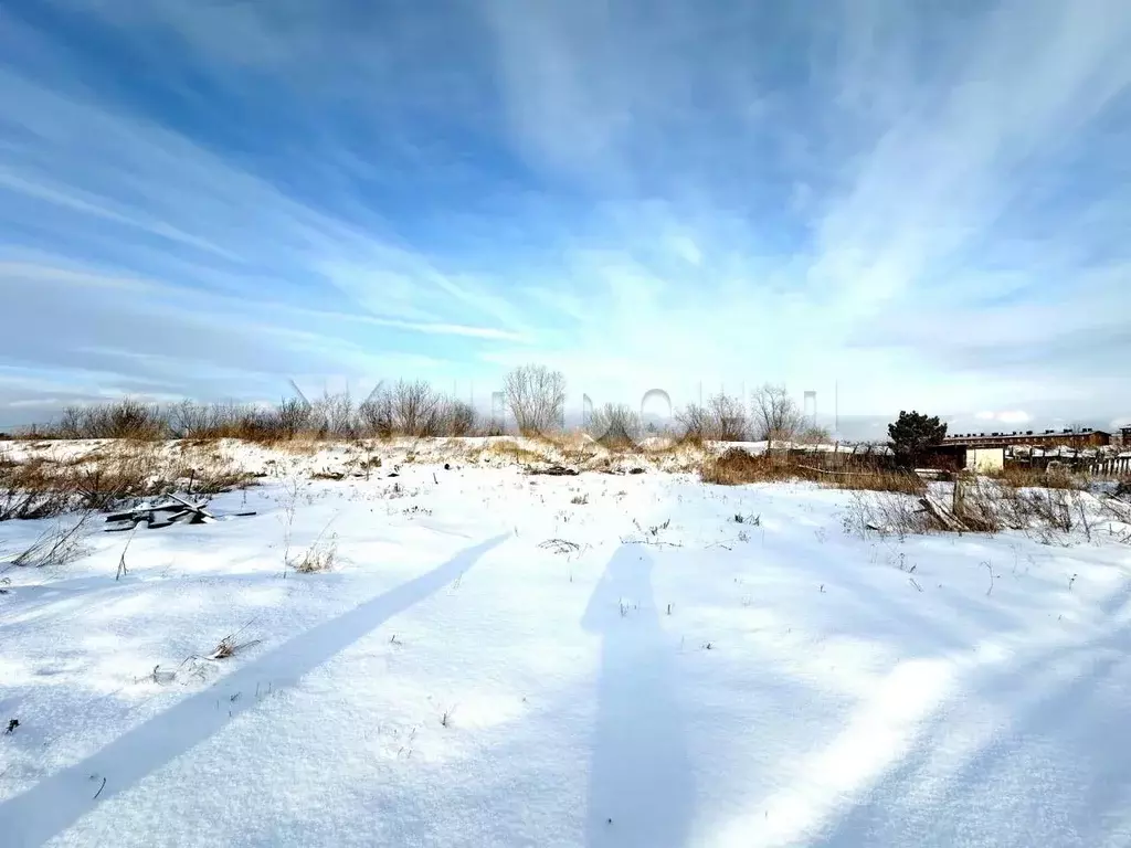 Участок в Новосибирская область, Новосибирский район, с. Криводановка, ... - Фото 2