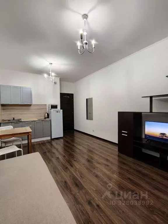 Студия Санкт-Петербург ул. Плесецкая, 16 (26.0 м) - Фото 1