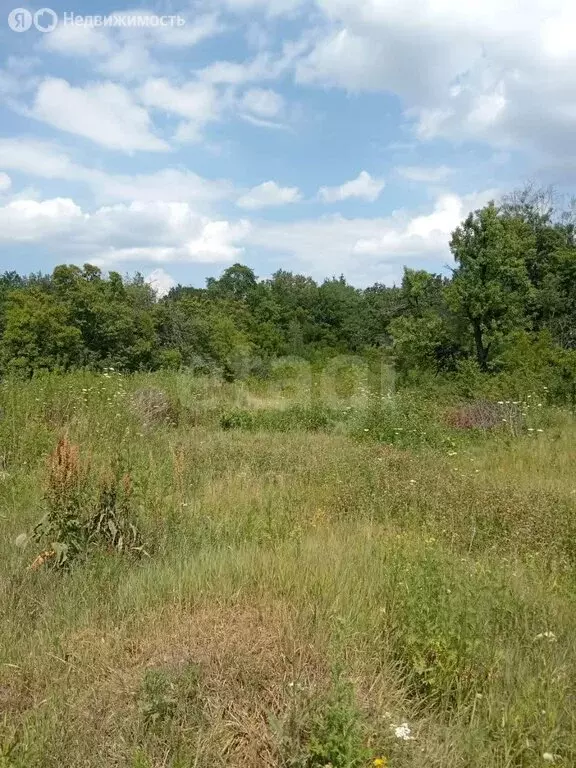 Участок в село Новоживотинное, улица Новосёлов (8.5 м) - Фото 1