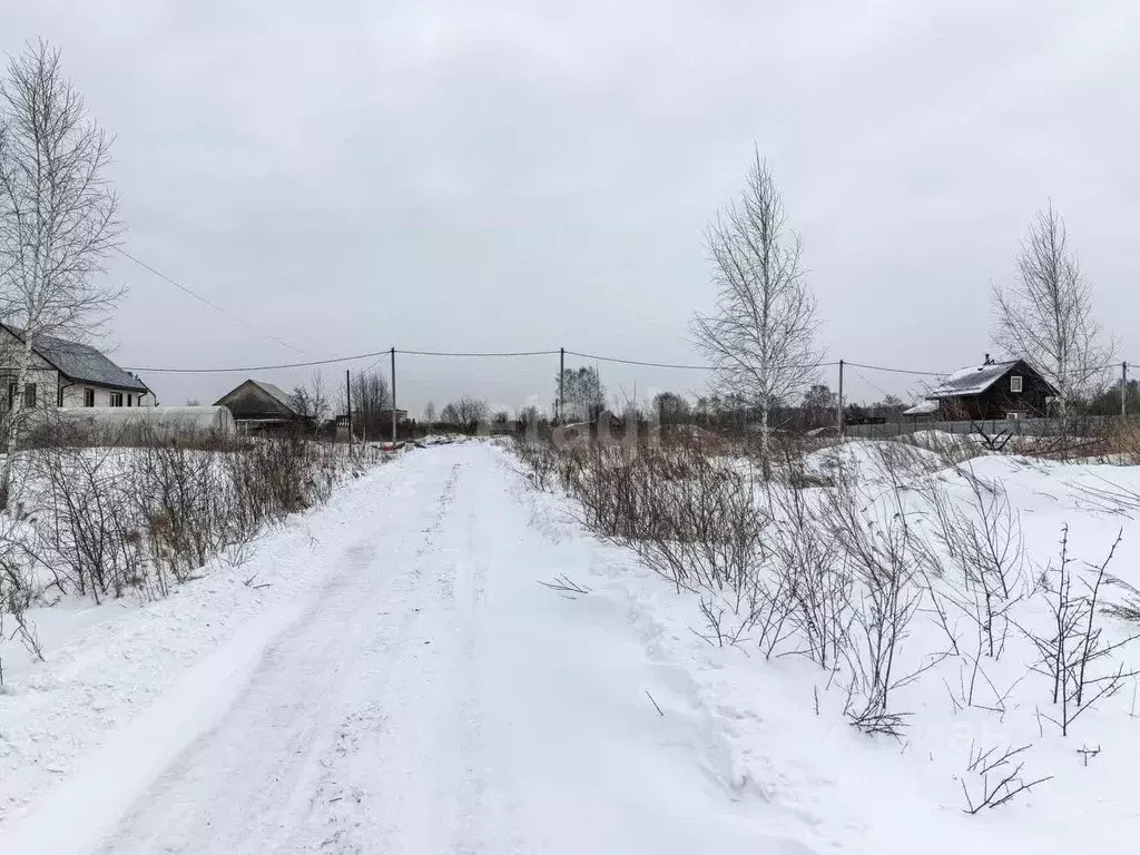 Участок в Новосибирская область, Новосибирский район, Станционный ... - Фото 0