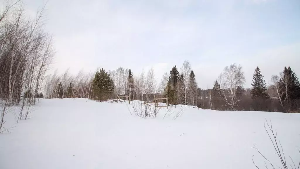 Участок в Томская область, Томский район, с. Корнилово, Красная горка ... - Фото 1