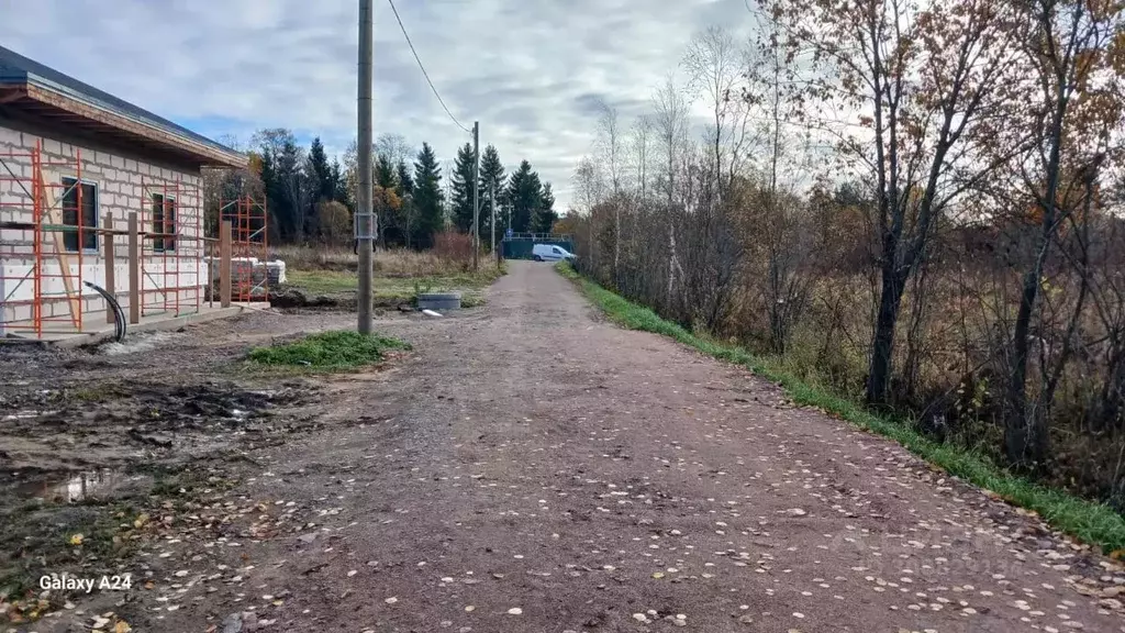 Участок в Ленинградская область, Всеволожский район, Лесколовское ... - Фото 1