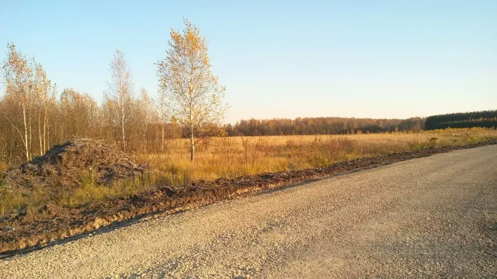 Участок в Нижегородская область, с. Дивеево ул. Радужная, 11 (12.0 ... - Фото 1