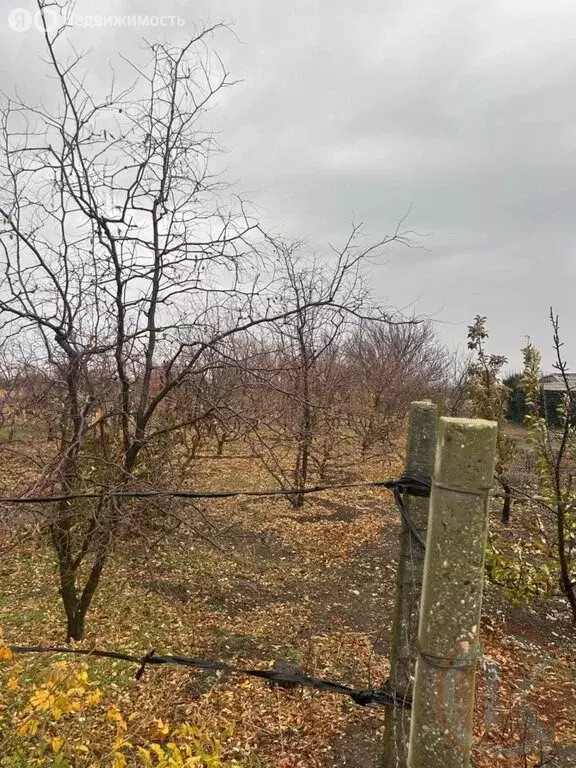 Участок в Митяево, Спортивная улица (12 м) - Фото 0