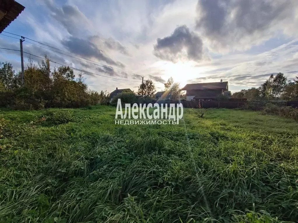 Участок в Ленинградская область, Гатчинский муниципальный округ, ... - Фото 2