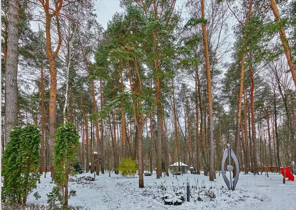 Участок в Московская область, Одинцовский городской округ, д. Барвиха, ... - Фото 1