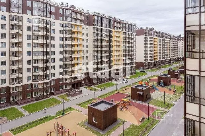 Студия Санкт-Петербург просп. Буденного, 23к5 (24.53 м) - Фото 0