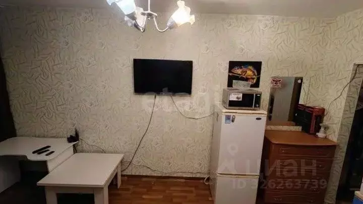 Студия Красноярский край, Красноярск ул. Карамзина, 16 (20.0 м) - Фото 2