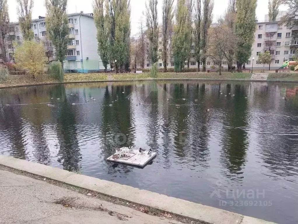 2-к кв. Воронежская область, Воронеж Ленинский просп., 134 (51.1 м) - Фото 2