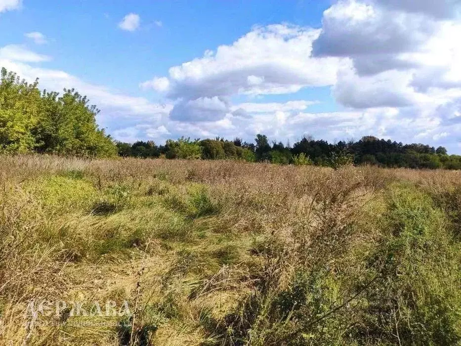 Участок в Белгородская область, Старооскольский городской округ, с. ... - Фото 0