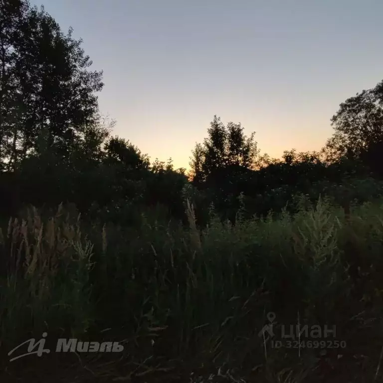 Участок в Московская область, Одинцовский городской округ, д. Бородки, ... - Фото 1