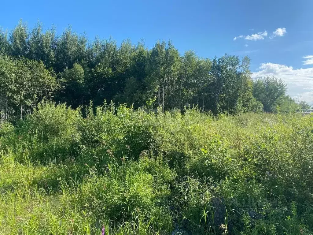 Участок в Хабаровский край, Хабаровский район, с. Гаровка-1  (10.0 ... - Фото 2