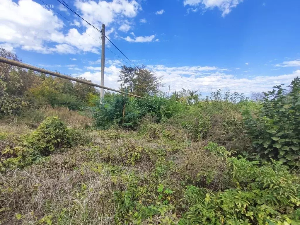 Участок в хутор Казачий, Магистральная улица, 74 (17.33 м) - Фото 2