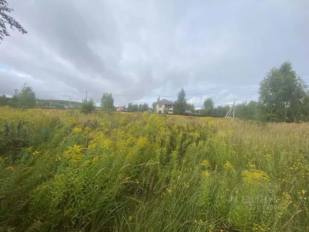 Участок в Нижегородская область, Богородский муниципальный округ, д. ... - Фото 2