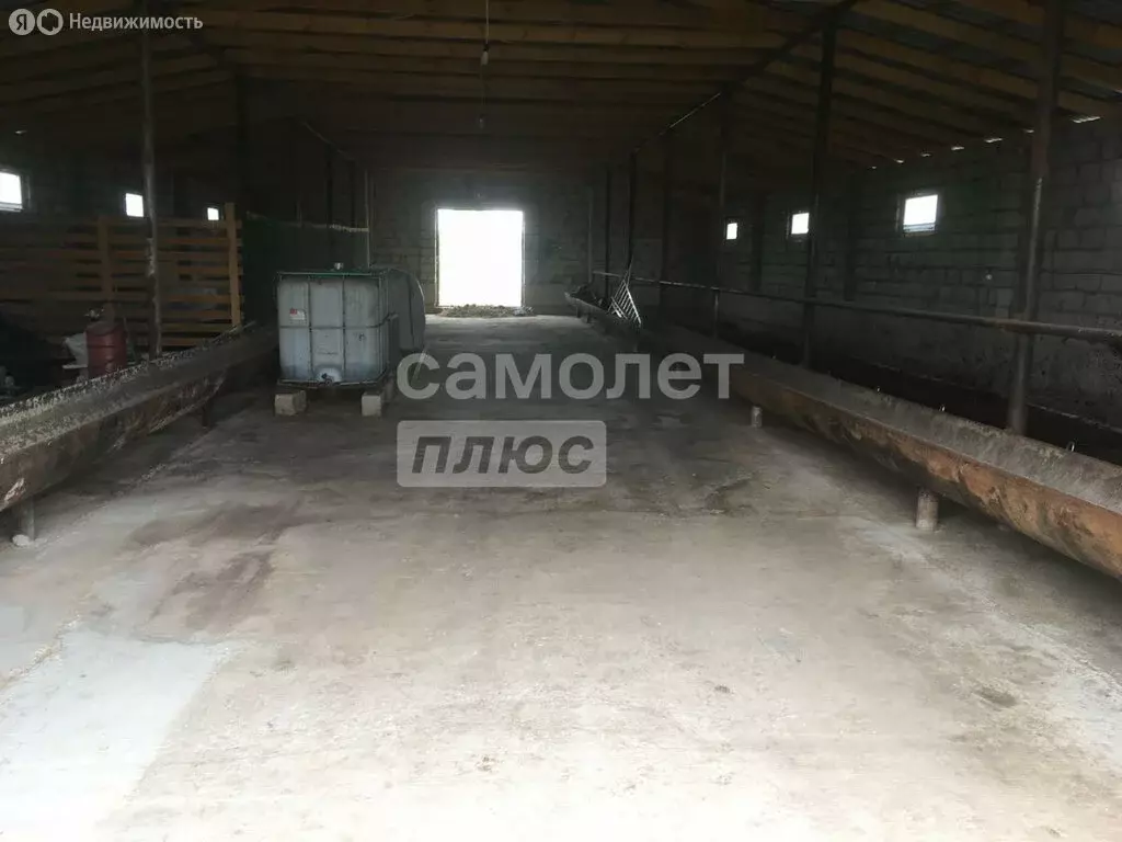 Помещение свободного назначения (350 м) - Фото 0