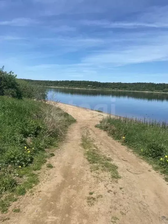 Участок в Ярославская область, Тутаевский муниципальный округ, ... - Фото 1