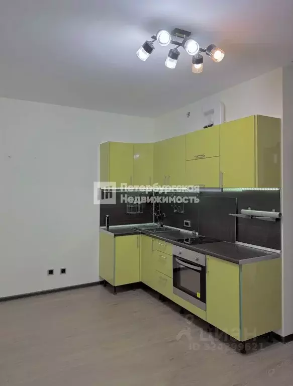 Студия Санкт-Петербург аллея Арцеуловская, 23к1 (24.0 м) - Фото 1