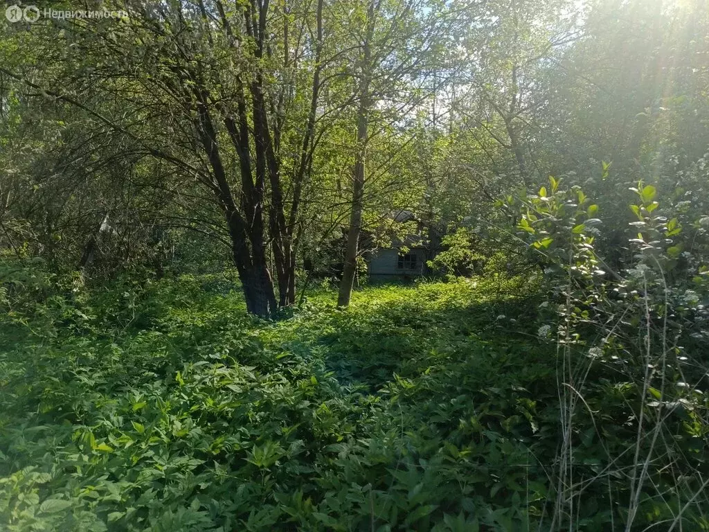 Участок в Владимир, СНТ Содышка, 2 (4.31 м) - Фото 0