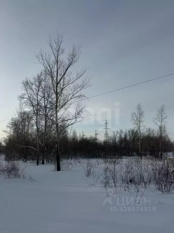 Участок в Алтайский край, Первомайский район, с. Березовка ул. Гоголя, ... - Фото 2
