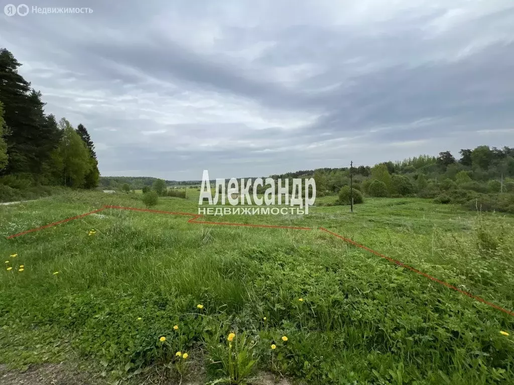 Участок в Республика Карелия, Лахденпохский муниципальный округ, ... - Фото 1