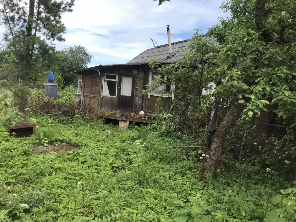 Дом в Московская область, Пушкинский городской округ, д. Бортнево 10 ... - Фото 2