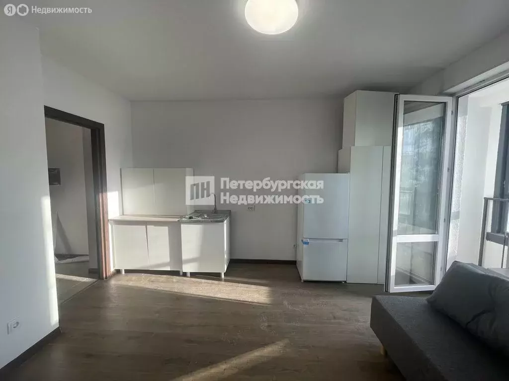 Квартира-студия: посёлок Шушары, Старорусский проспект, 5к2 (20.65 м) - Фото 2