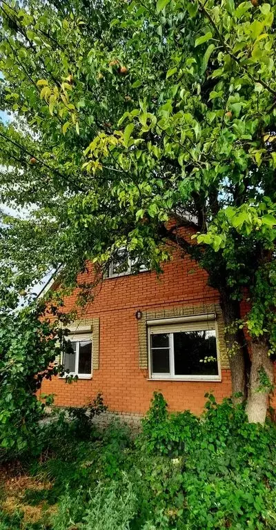 Дом в Ростовская область, Таганрог Конторская ул., 72 (90 м) - Фото 1