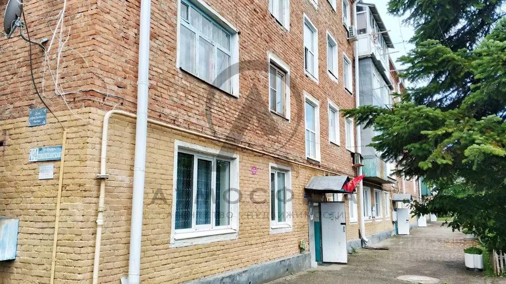 1-к кв. Краснодарский край, Апшеронск Пролетарская ул. (30.3 м) - Фото 0