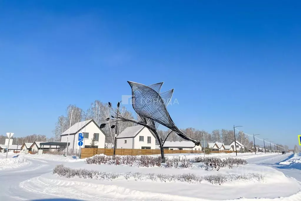 Участок в Новосибирская область, Новосибирский район, Сибирские ... - Фото 2