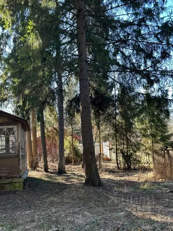Участок в Московская область, Одинцовский городской округ, пос. ... - Фото 1