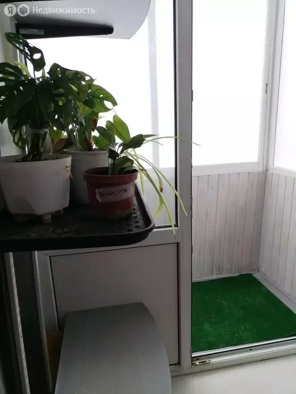 1к в 3-комнатной квартире (20 м) - Фото 1