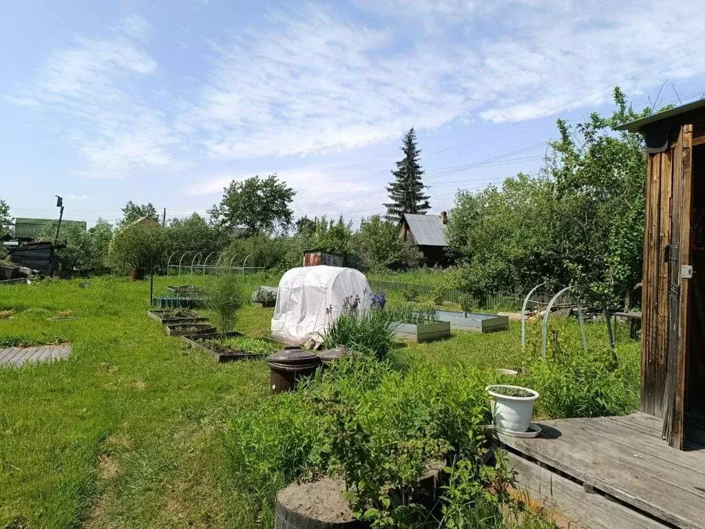 Купить Садовый Участок В Новосибирске Недорого