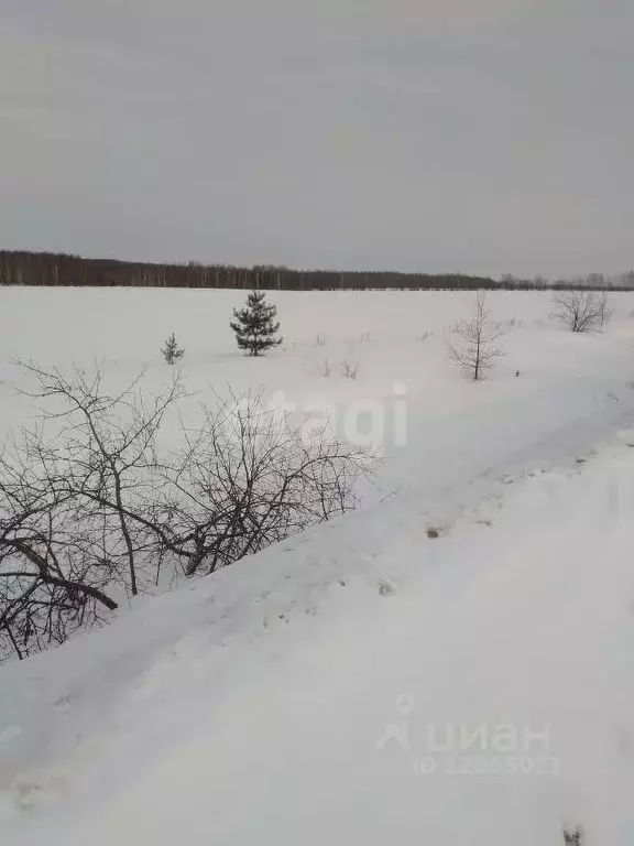 Участок в Костромская область, Кострома Ребровка мкр,  (77.0 сот.) - Фото 1