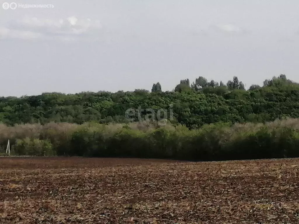 Дом в Саратов, СНТ Черёмушка, улица 1-я Гуселка (31.3 м) - Фото 1
