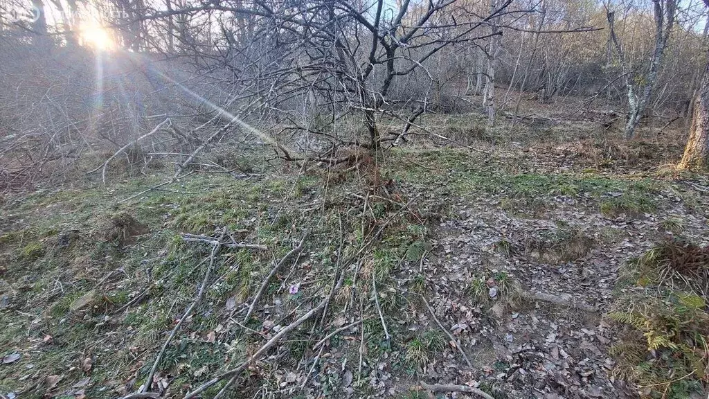 Участок в село Нижняя Шиловка, СТ Южное взморье (5.39 м) - Фото 1