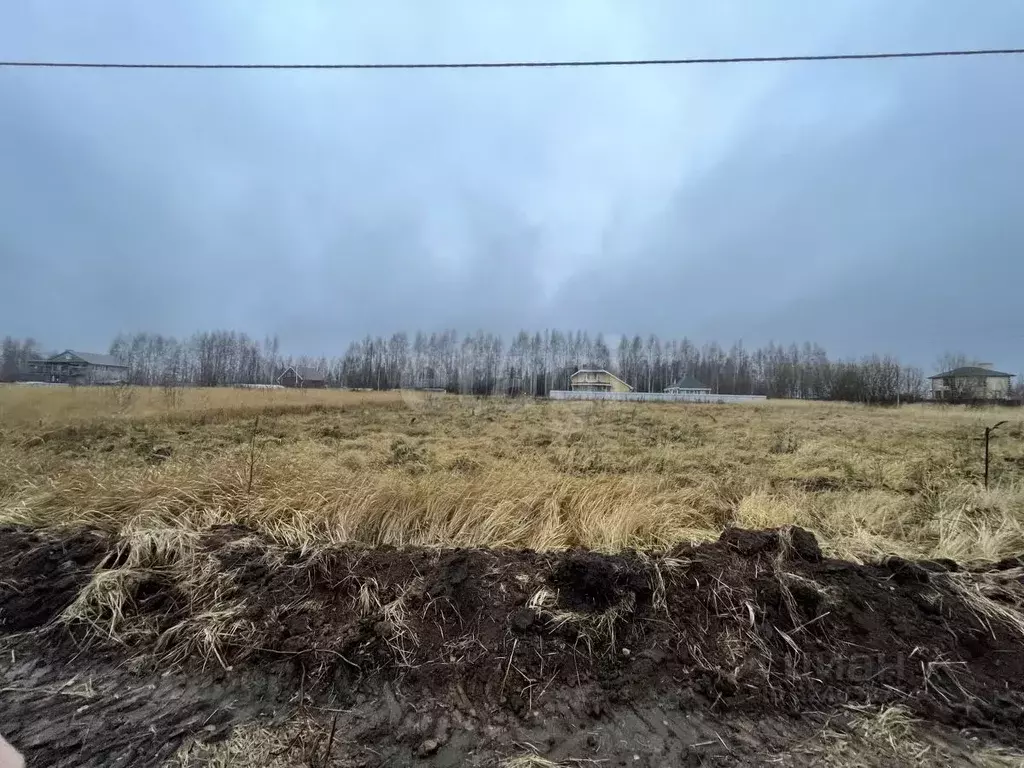 Участок в Чувашия, Моргаушский муниципальный округ, д. Яраккасы  (12.0 ... - Фото 1