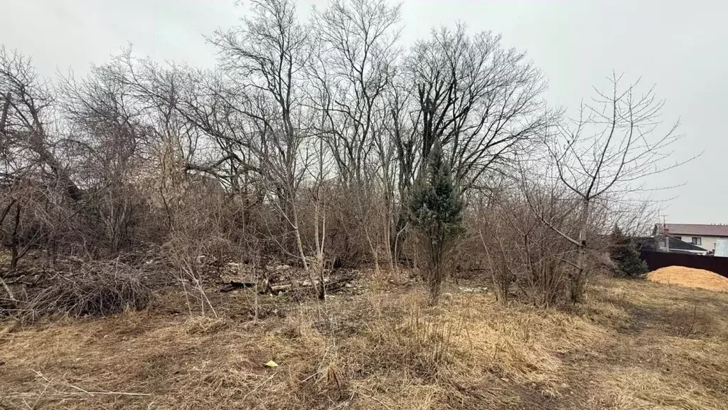 Участок в Воронежская область, Воронеж ул. Новикова, 205В (8.0 сот.) - Фото 2