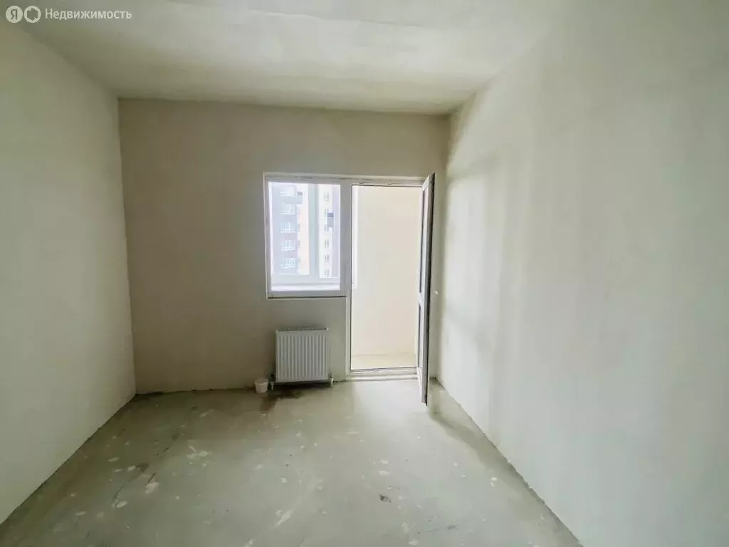 Квартира-студия: село Засечное, Центральная улица, 20 (24.1 м) - Фото 2