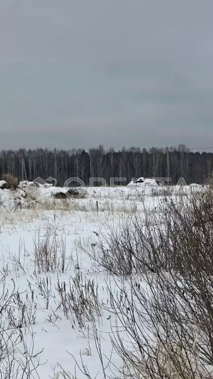 Участок в Свердловская область, Слободо-Туринский район, ... - Фото 2