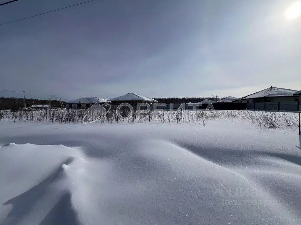 Участок в Тюменская область, Тюменский муниципальный округ Салаирский ... - Фото 2