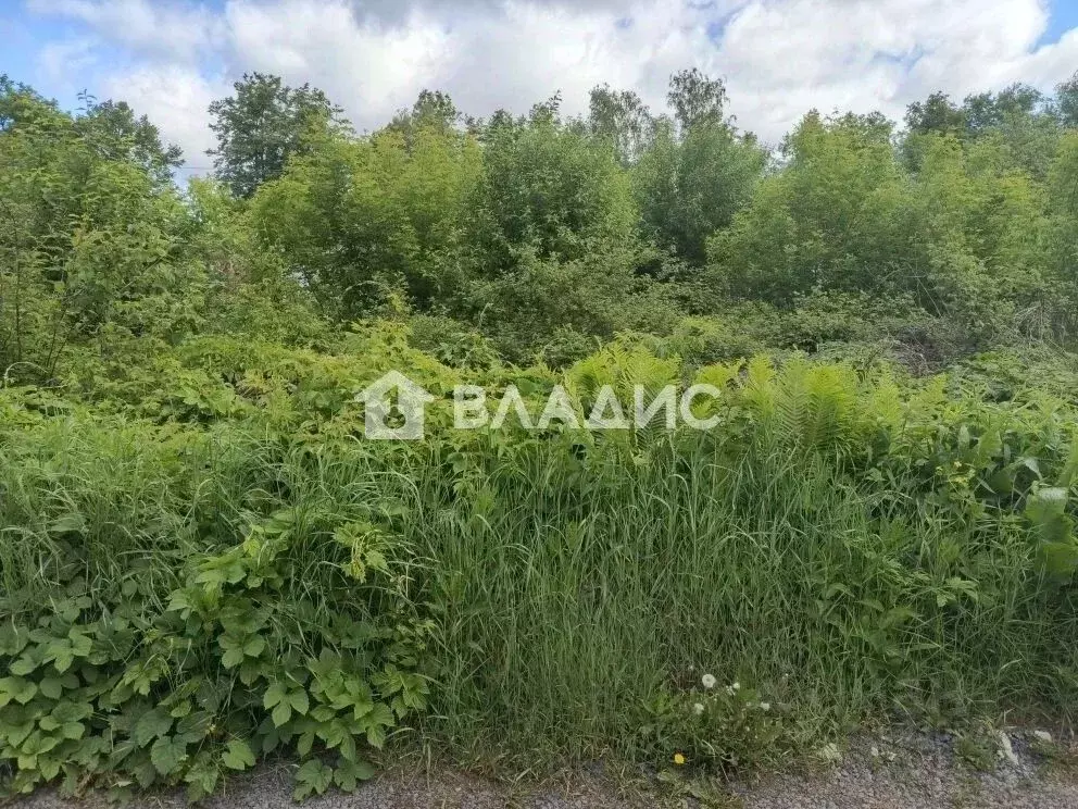 Участок в Нижегородская область, Нижний Новгород Надежда СНТ,  (5.0 ... - Фото 2