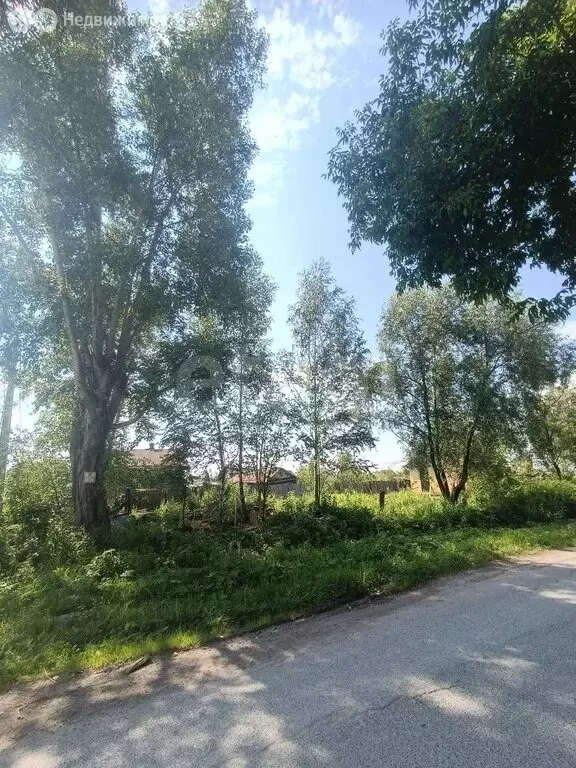 Дом в Тобольск, улица Менделеева (31.1 м) - Фото 2