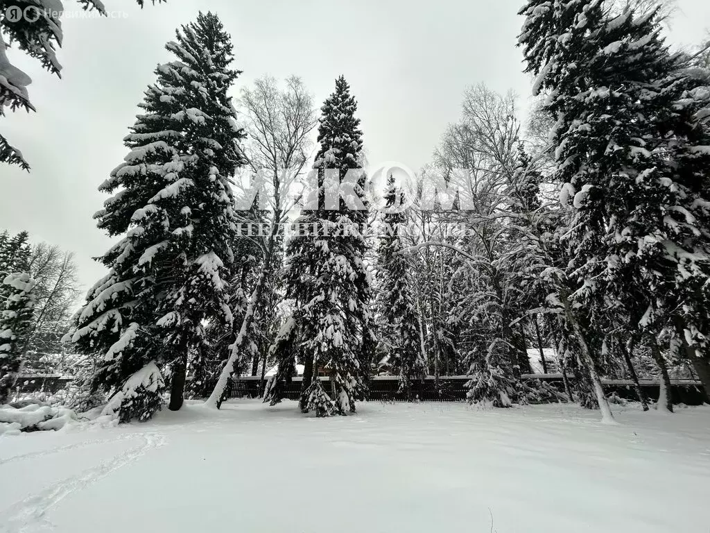 Участок в посёлок Толстопальцево, Железнодорожная улица, 10 (6 м) - Фото 1