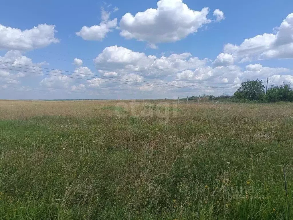 Участок в Крым, Симферополь ул. 43-я Коллективных Садов (3.0 сот.) - Фото 1