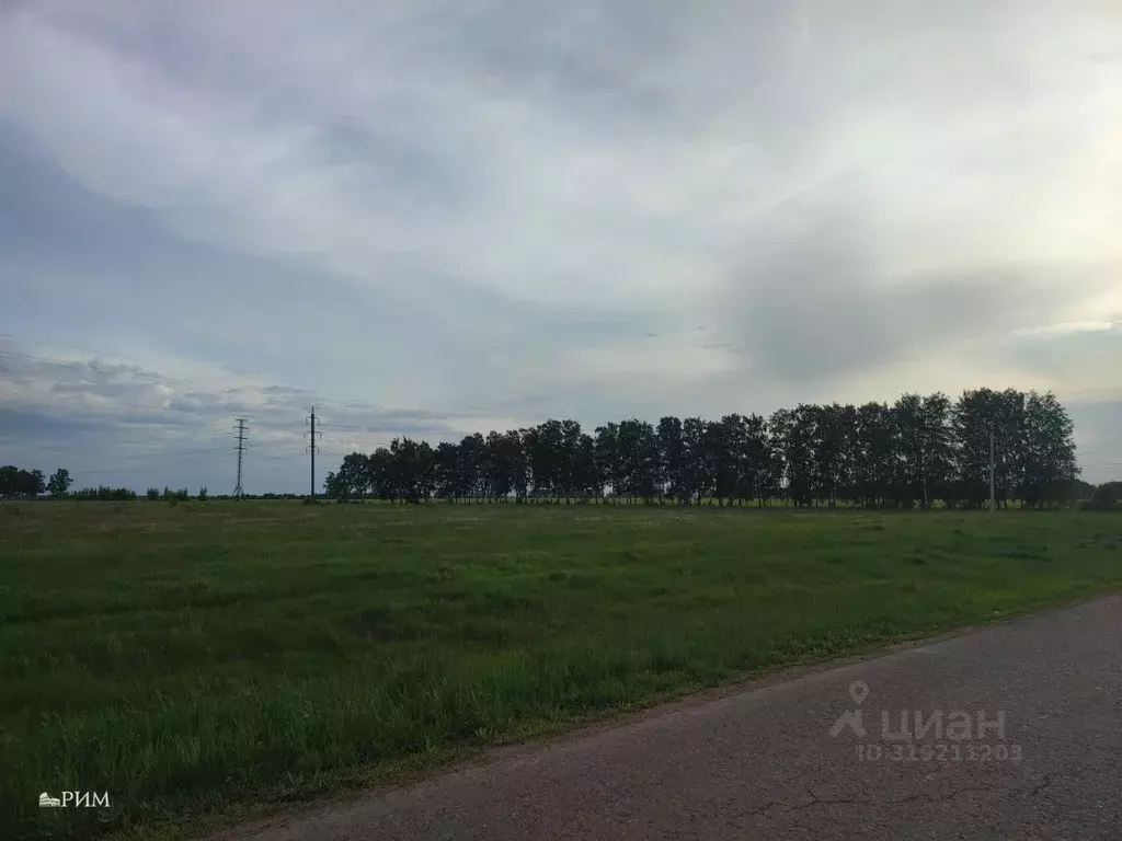 Участок в Самарская область, Красноярский район, Большая Каменка ... - Фото 1